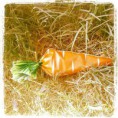 /album/fotogaleria-inicio/a66849-10152307824489494-9134457825115309867-n-jpg/